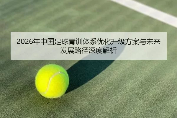 2026年中国足球青训体系优化升级方案与未来发展路径深度解析